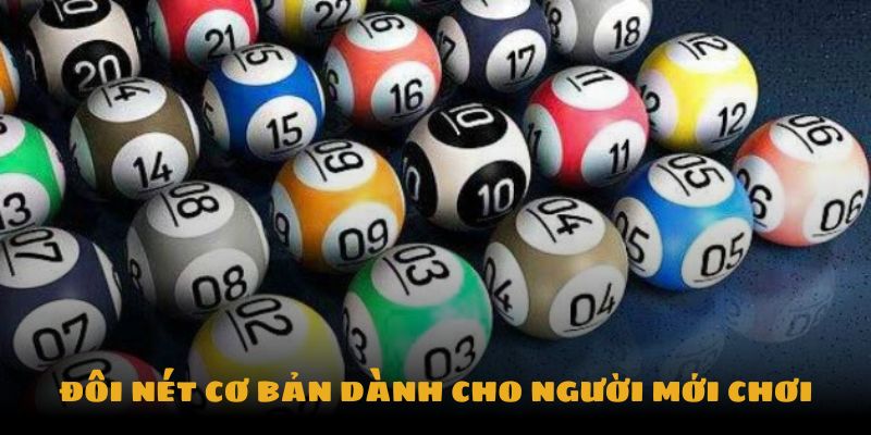 Đôi nét cơ bản dành cho người mới chơi